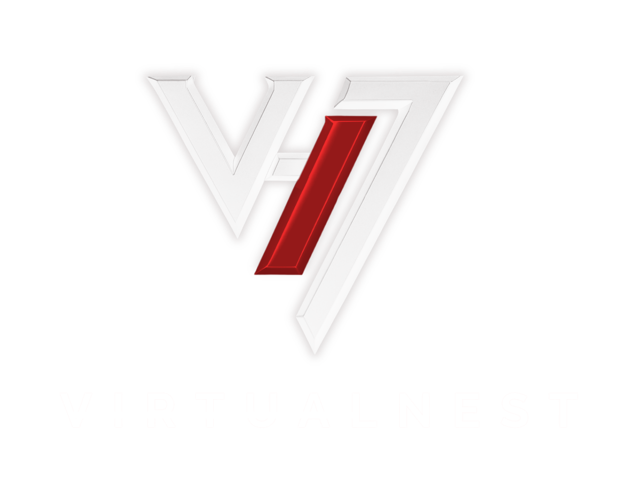 Virtual Nest logo